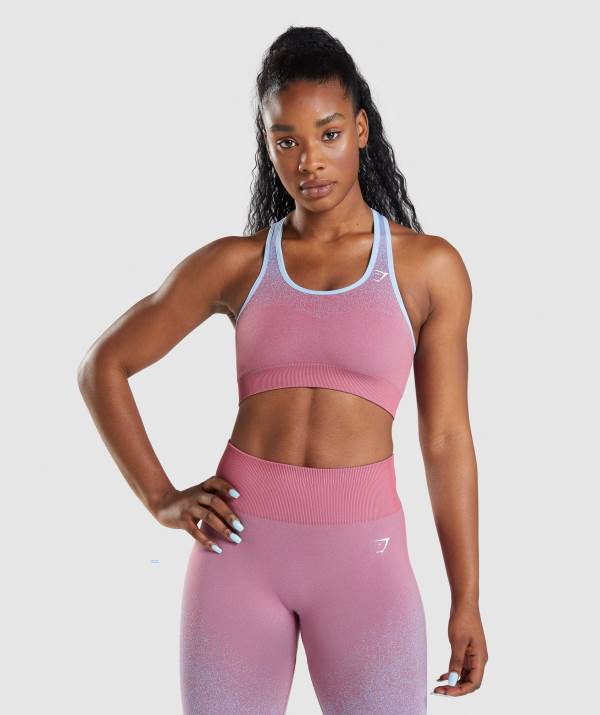 Damske Športové Podprsenky Gymshark Adapt Ombre Seamless Ruzove Ruzove Svetlo / Modre | TH2461057
